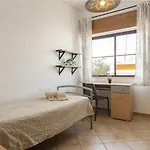 Casa Jardim Ii - City Center By Hd Appartement