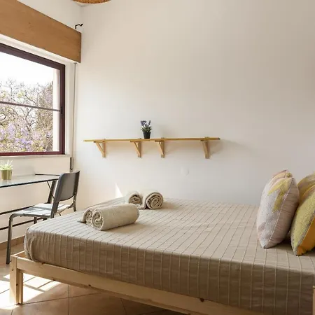 Apartment Casa Jardim Ii - City Center By Hd Faro